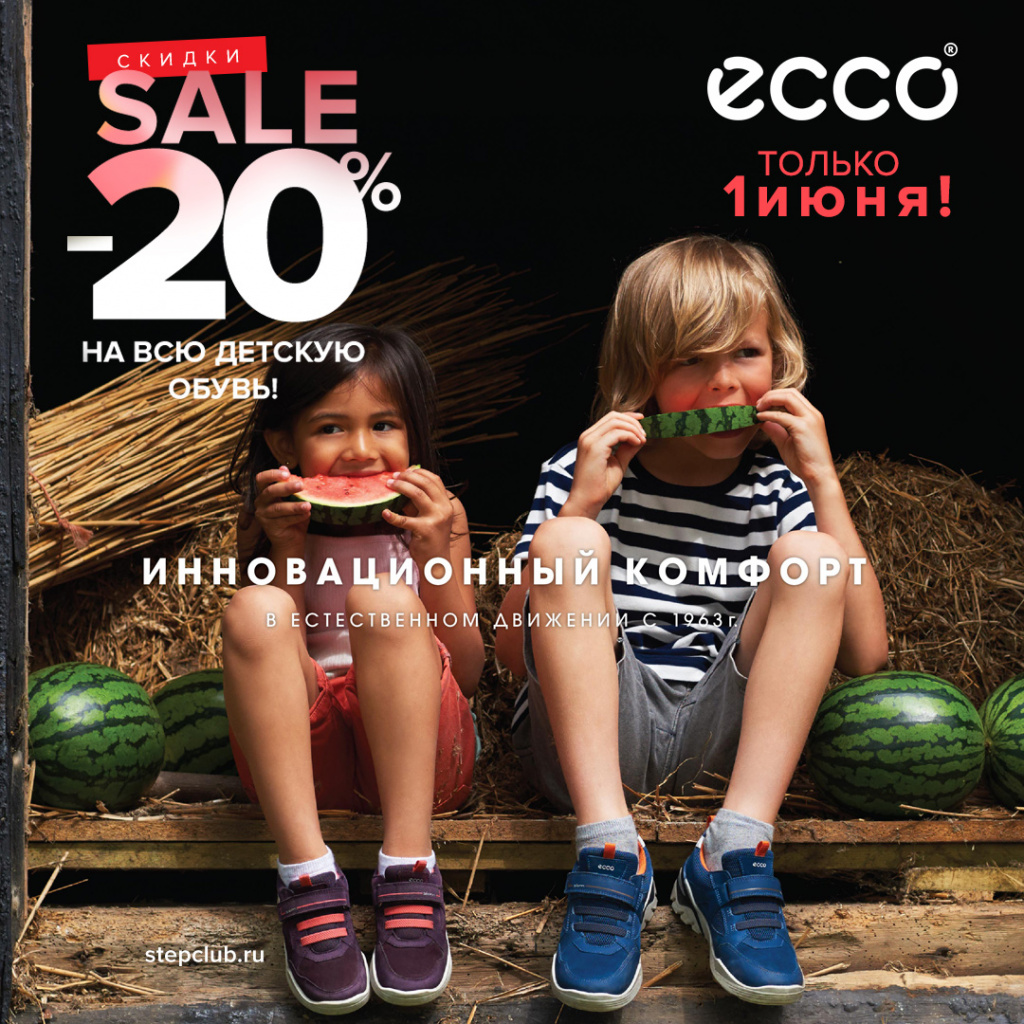 ecco2 ecco2