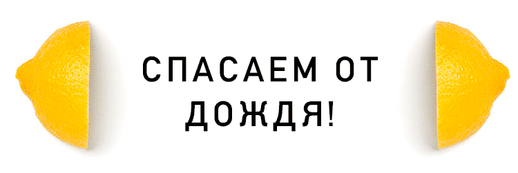   .gif