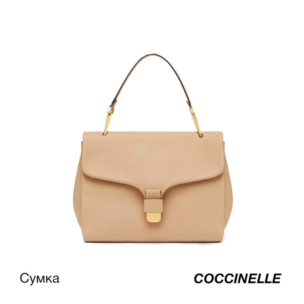 -Coccinelle.jpg