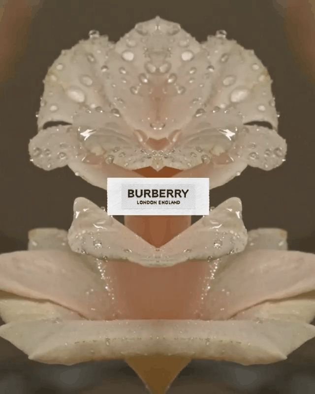 Burberry_ss2020.gif