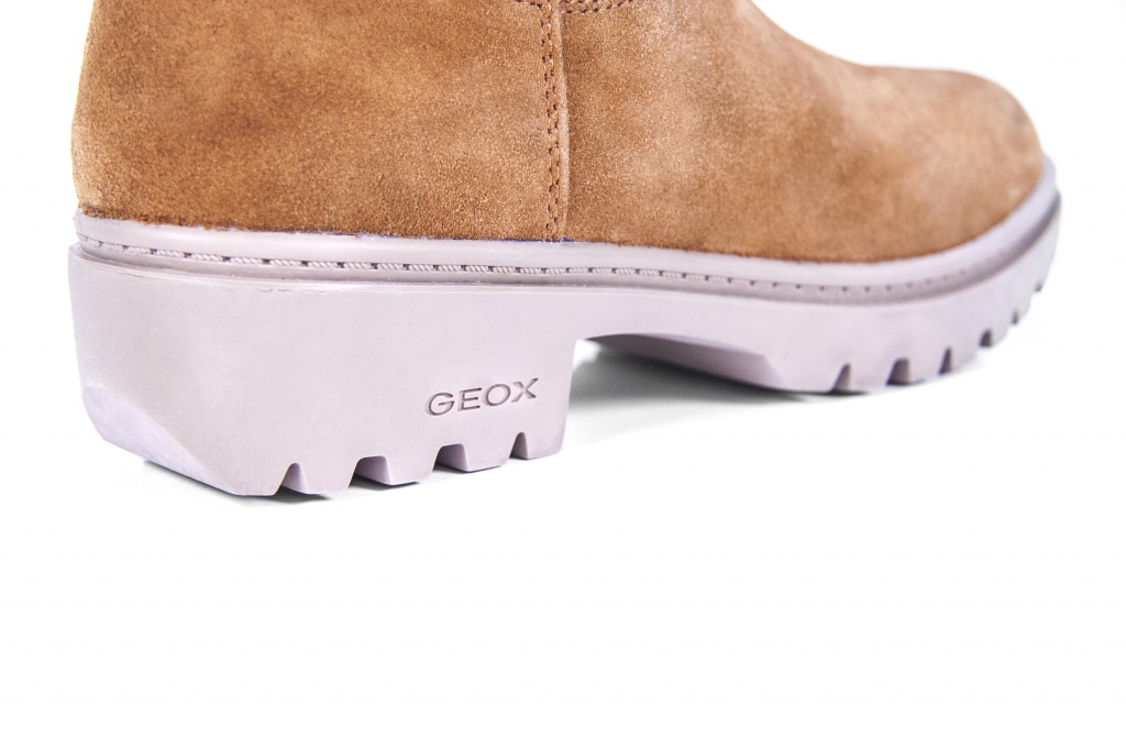  GEOX 