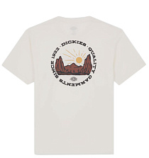 Dickies