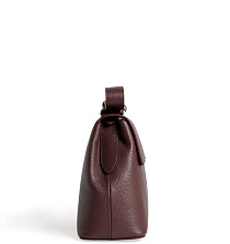 Coccinelle