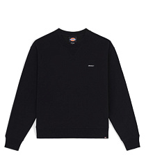 Dickies Dickies