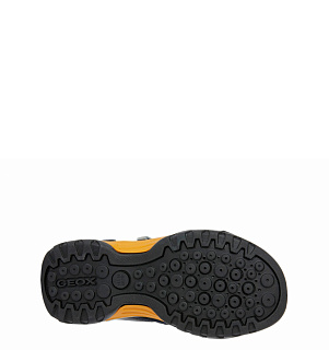 GEOX