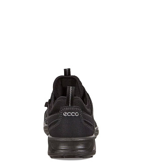 ECCO