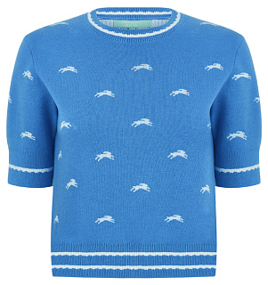 DREAMS by Alena Akhmadullina