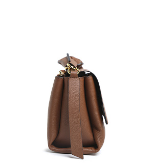 Coccinelle