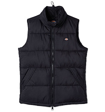 Dickies Dickies