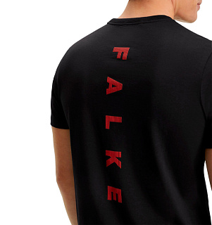 Falke
