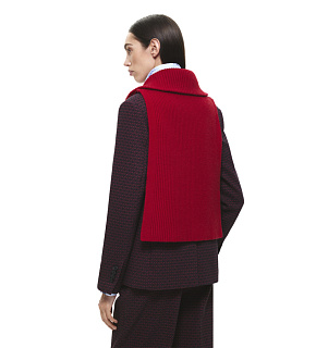 DREAMS by Alena Akhmadullina