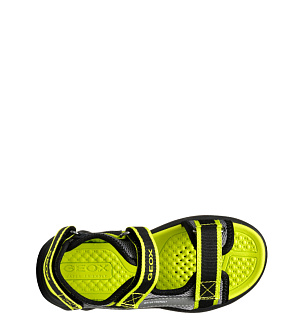GEOX