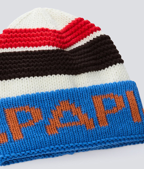 NAPAPIJRI