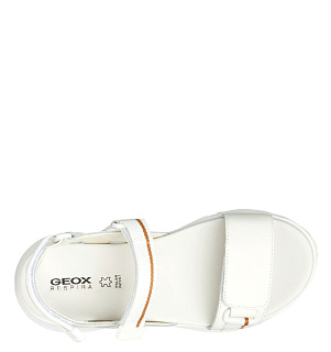 GEOX
