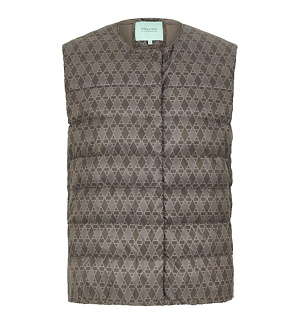 DREAMS by Alena Akhmadullina