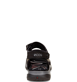 ECCO