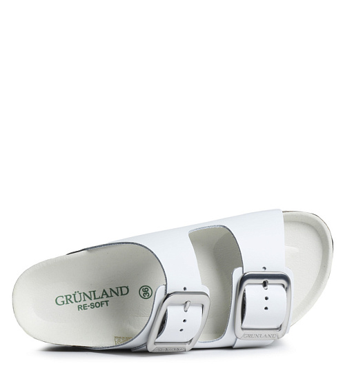 Grunland