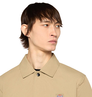 Dickies
