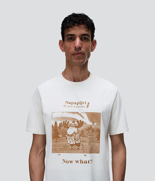 NAPAPIJRI