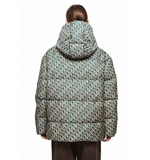 DREAMS by Alena Akhmadullina