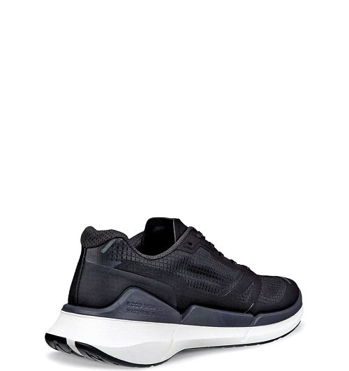 ECCO