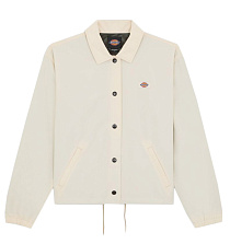 Dickies
