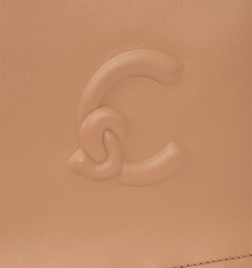 Coccinelle