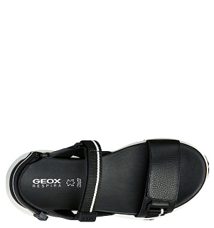 GEOX