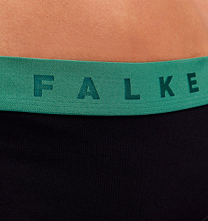 Falke