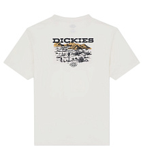 Dickies
