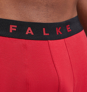 Falke
