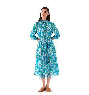 DREAMS by Alena Akhmadullina