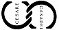 Cesare Casadei
