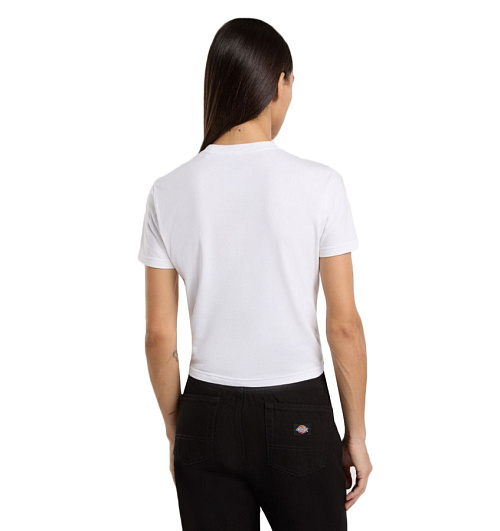 Dickies