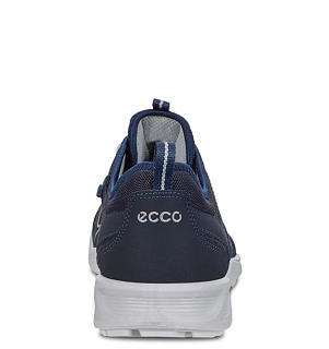 ECCO
