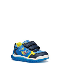GEOX GEOX