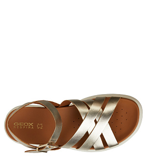 GEOX