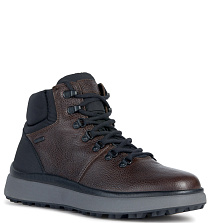 GEOX GEOX