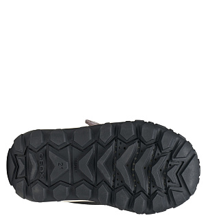 GEOX