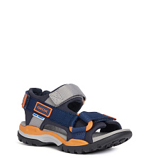 GEOX GEOX