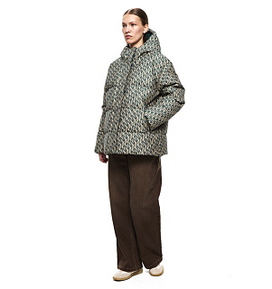 DREAMS by Alena Akhmadullina