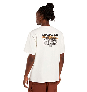 Dickies